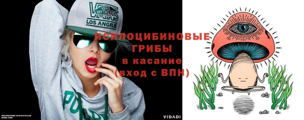 сатива Алексин