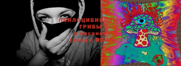 2c-b Алзамай